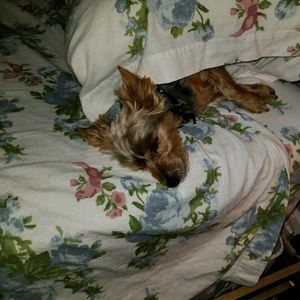 Meet your Posher, Barbara